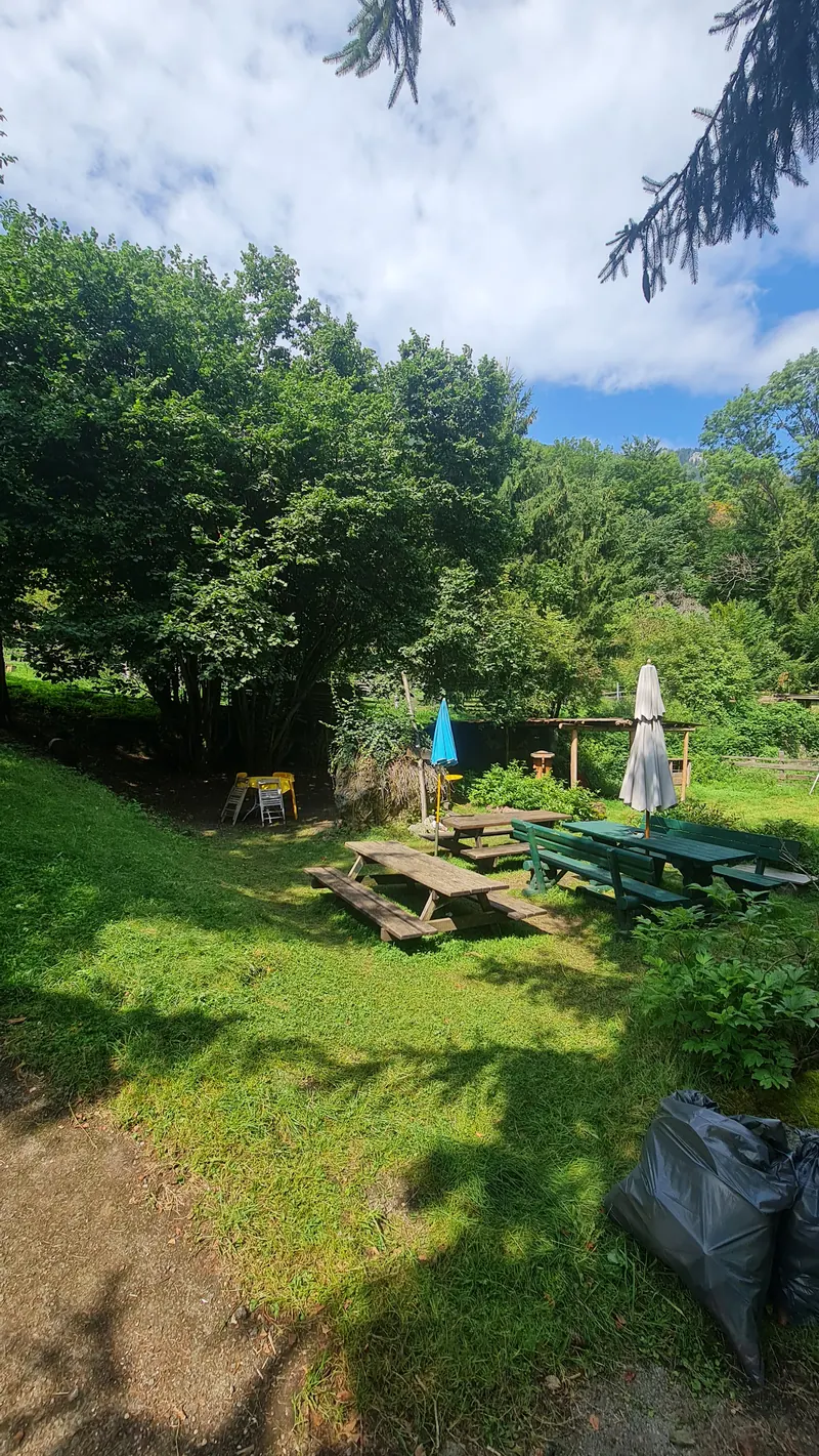 Blue sky and tall trees over a sloping lawn with picnic tables and a closed umbrella.